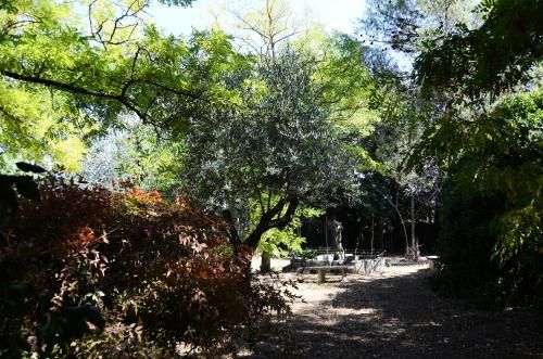Outdoor Pictures 23