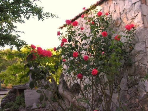Outdoor Pictures 6