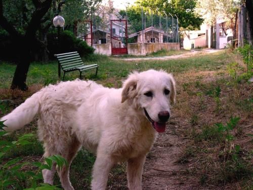Outdoor Pictures 8
