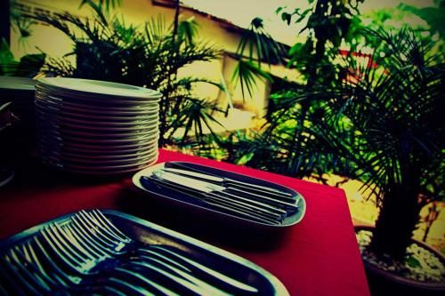 Outdoor Pictures 23