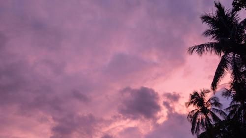 Outdoor Pictures 22