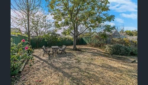Outdoor Pictures 19