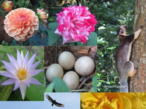 Outdoor Pictures 11
