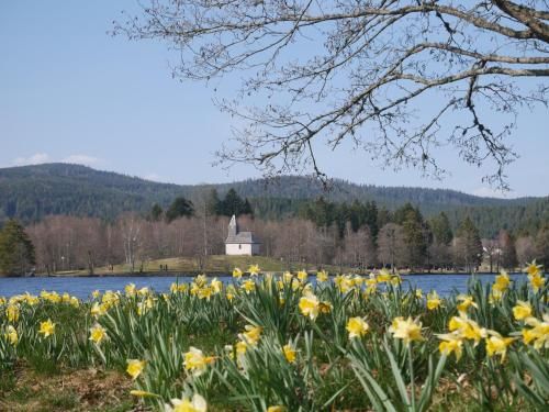 Outdoor Pictures 20