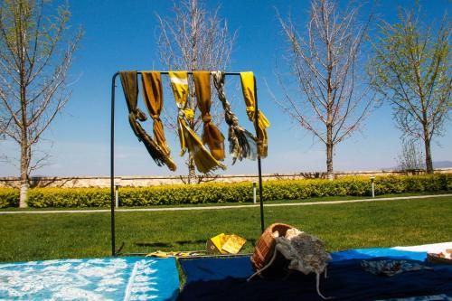 Outdoor Pictures 24