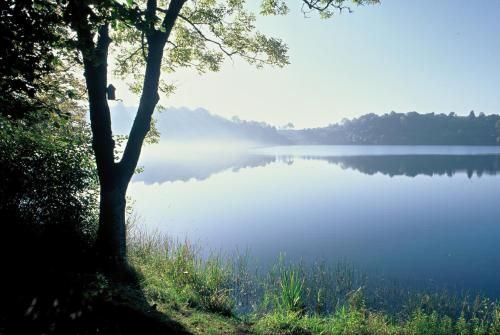 Outdoor Pictures 10