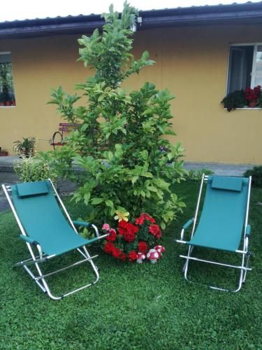 Outdoor Pictures 14