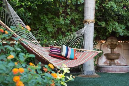 Outdoor Pictures 22