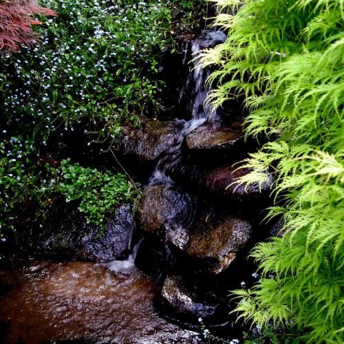 Outdoor Pictures 22