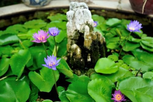 Outdoor Pictures 21