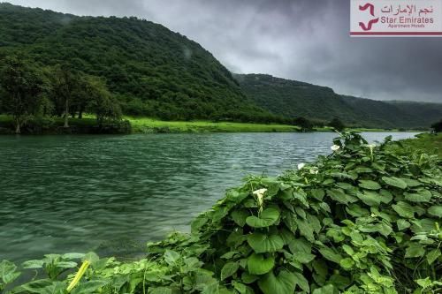 Outdoor Pictures 19