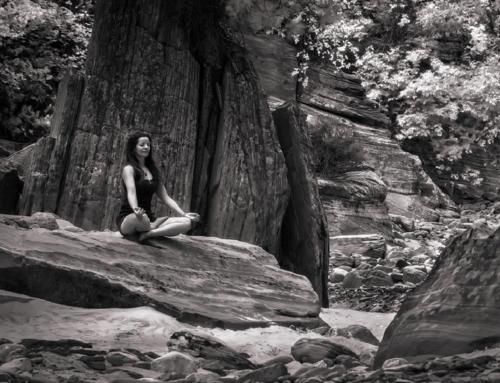 Outdoor Pictures 24