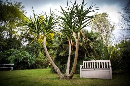 Outdoor Pictures 22