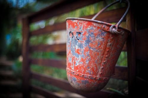 Outdoor Pictures 12