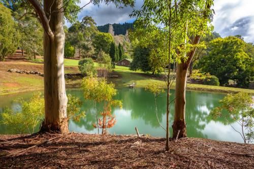 Outdoor Pictures 24