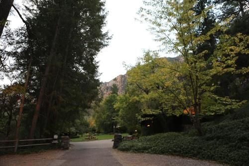 Outdoor Pictures 21