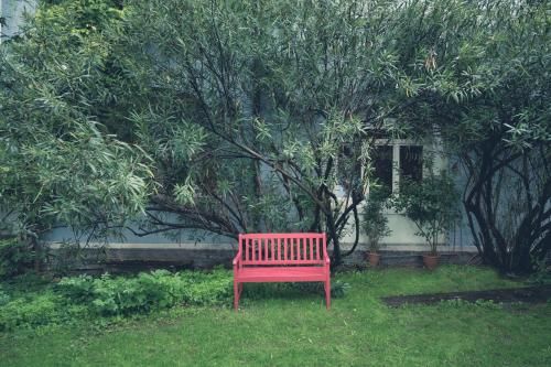 Outdoor Pictures 23