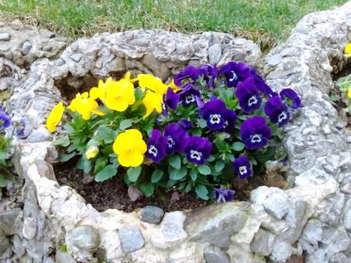 Outdoor Pictures 21