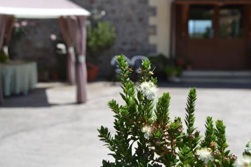 Outdoor Pictures 21