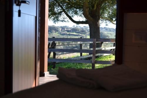 Outdoor Pictures 24