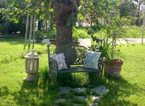 Outdoor Pictures 24