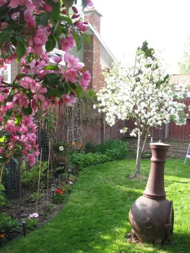 Outdoor Pictures 15