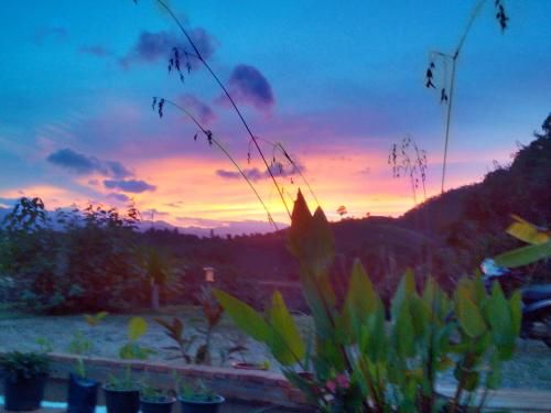 Outdoor Pictures 12