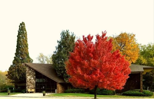 Outdoor Pictures 20