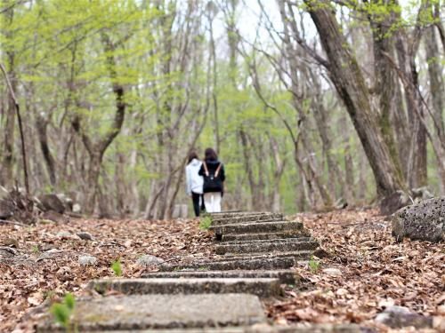 Outdoor Pictures 22