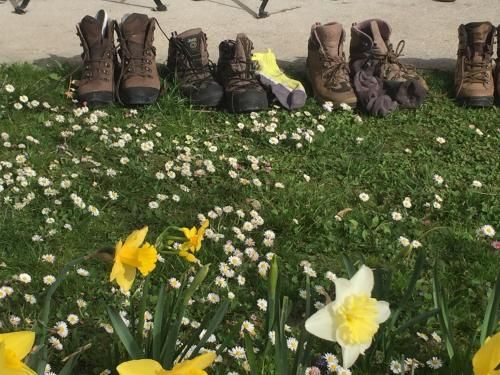 Outdoor Pictures 21