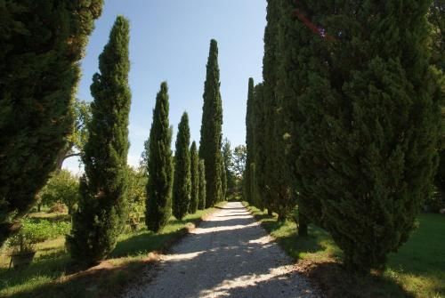 Outdoor Pictures 1