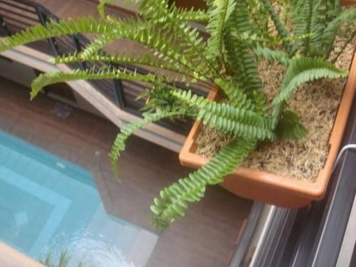 Outdoor Pictures 24