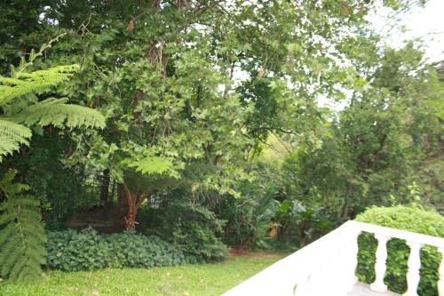 Outdoor Pictures 20