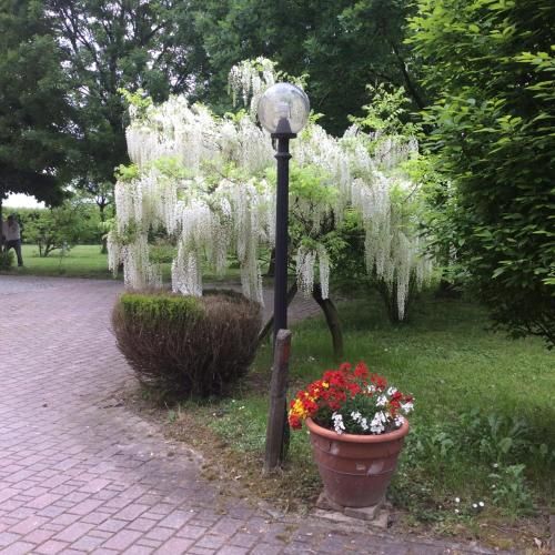 Outdoor Pictures 20