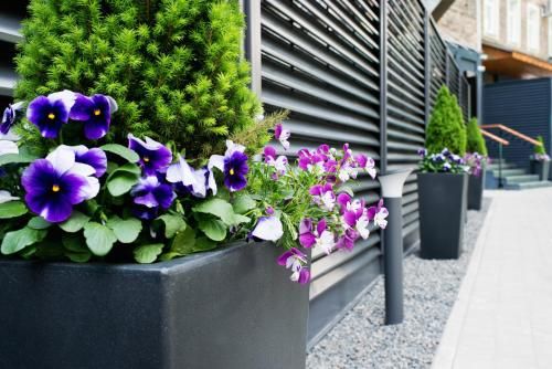 Outdoor Pictures 21