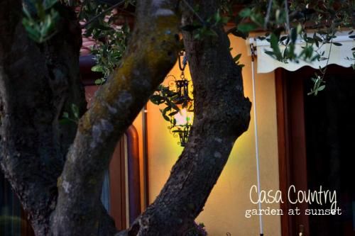 Outdoor Pictures 24