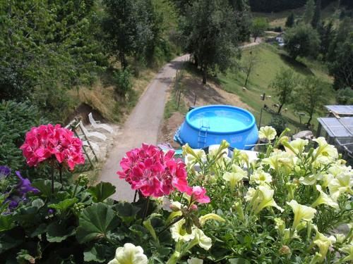 Outdoor Pictures 23