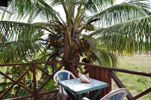 Outdoor Pictures 15