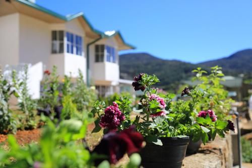 Outdoor Pictures 23