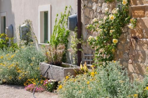 Outdoor Pictures 21