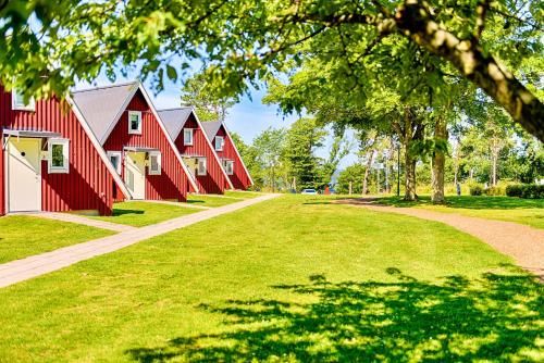 Outdoor Pictures 21