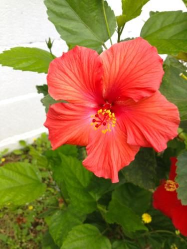 Outdoor Pictures 13