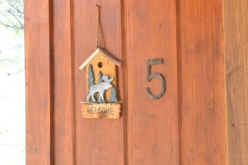 Outdoor Pictures 15