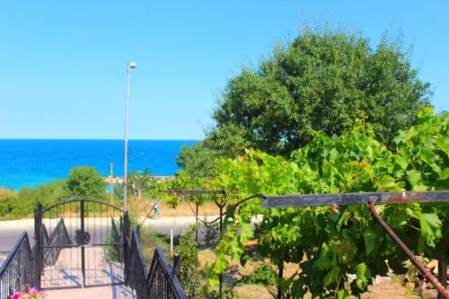 Outdoor Pictures 22