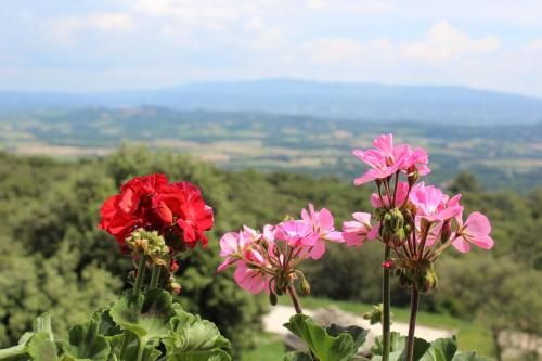 Outdoor Pictures 21