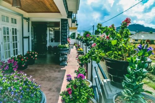 Outdoor Pictures 20