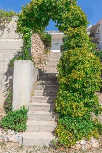 Outdoor Pictures 21