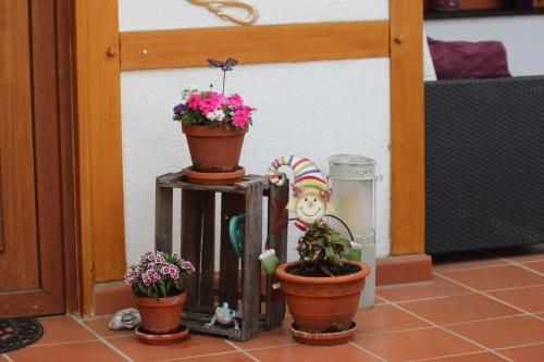 Outdoor Pictures 10