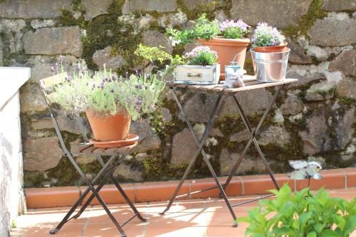 Outdoor Pictures 15