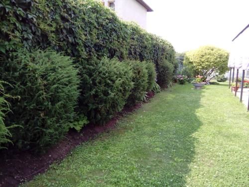 Outdoor Pictures 24